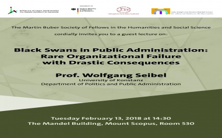 Black Swans in Public Administration