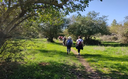 EXCURSION