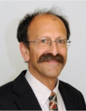 prof._david_shulman